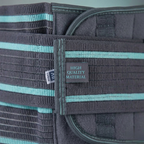 PosturaFit™ Lumber Support Belt